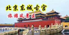 欧美日B色网站中国北京-东城古宫旅游风景区